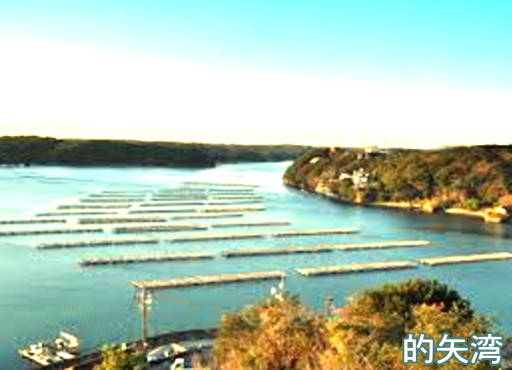 的矢湾
