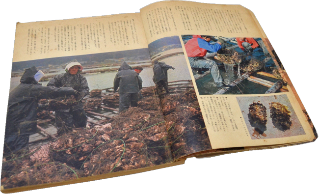 1973年(昭和53年2月1日発行)暮らしの手帳　第52号　暮らしの手帳出版社