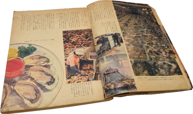 1973年(昭和53年2月1日発行)暮らしの手帳　第52号　暮らしの手帳出版社